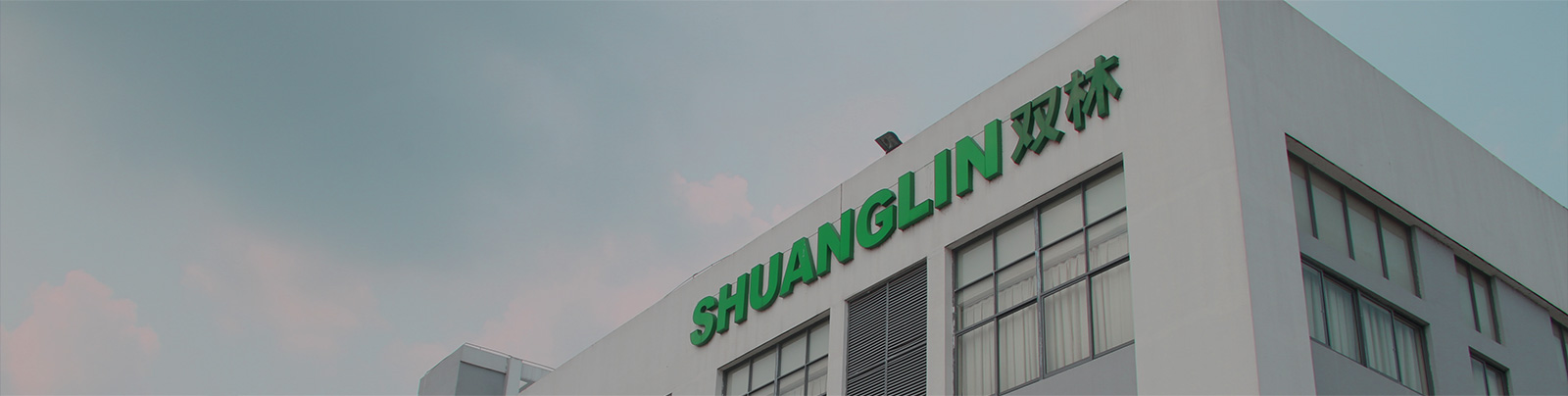 雙林集團(tuán)站群